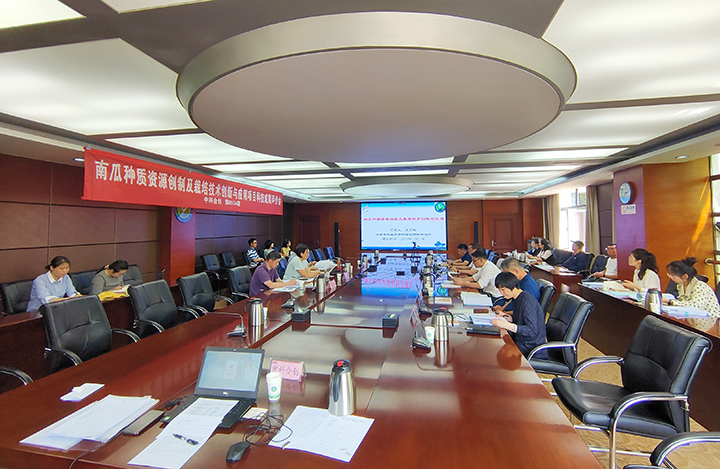 南瓜种质资源创制及栽培技术创新与应用 anli.jpg